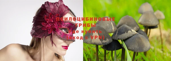 apvp Гусиноозёрск