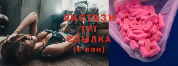 apvp Гусиноозёрск