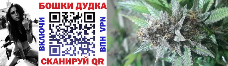 МАРИХУАНА LSD WEED  Купить закладки  Сурск 